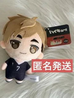 宮侑 ぷちっしゅ！ vol.2 ハイキュー!! ぬいぐるみキーホルダー