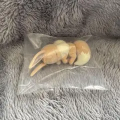 フィギュアコレクション　ポケモンスリープ　イーブイ