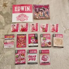秋田ノーザンハピネッツ ステッカー EDWIN ファンズデー 日程表