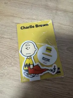 【新品未開封】チャーリー・ブラウン アクリルスタンド　ミュージアム限定