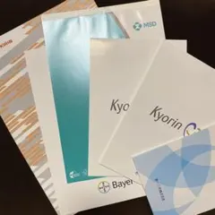 Item thumbnail for item 4c8cfe40-0268-4712-a7ec-0a304bbc9de1