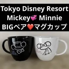 Tokyo Disney Resort ミッキー　ミニー　BIGカップ