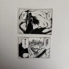BLEACH クリアステッカー 黒崎 一護