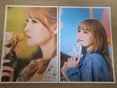 DFESTA　TWICEモモポストカードセット