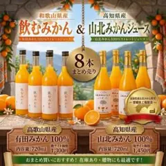飲むみかん＆山北みかんジュース 12本まとめ売り 720mL 果汁100％ 飲むみかん＆山北みかんジュース 12本まとめ売り 720mL 果汁100
