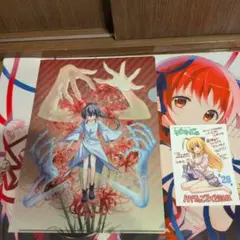 ハヤテのごとく! 完全版 全27巻ゲーマーズ特典 A4クリアファイル