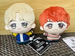【タグ付き】TinyTAN DNAちびぐるみ2種セット ジミン & j-hope