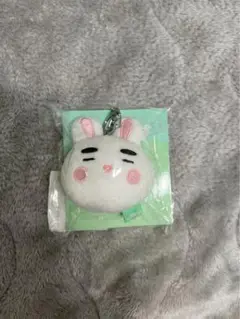 SHINee オニュ うさぎ ぬいぐるみ キーリング SHINee オニュ うさぎ ぬいぐるみ キーリング - メルカリ
