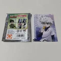 HUNTER×HUNTER ミニブロマイド キルア 背中合わせ