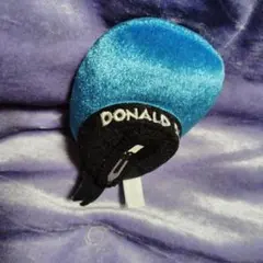 ディズニーリゾート　ドナルドダックヘアピン