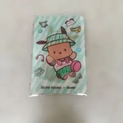 【韓国限定】 オリーブヤング サンリオ ポチャッコ レンチキュラーカード
