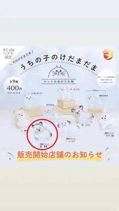 うちの子のけだまだま　黒柴　限定