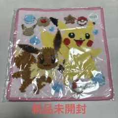 FEILER LOVERARY ポケモン ハンカチ ピカチュウ イーブイ