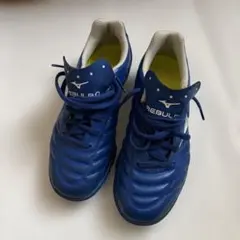 Mizuno REBULA トレーニングシューズ 青