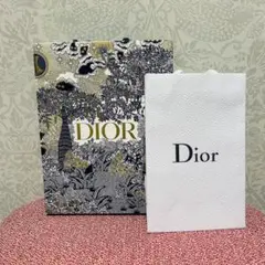 【美品】Dior ディオール ショッパー 紙袋 2点セット