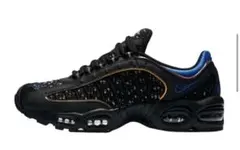 Nike Air Max Plus ブラック/ブルー