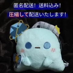 【匿名配送】タグ付未使用品　ホロライブ　もちぽよちゃんパスケース　すたぁのサムネイル