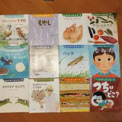 月刊かがくのとも　12冊セット