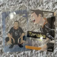 ハイキュー!! 田中龍之介 アクリルカード2枚セット ファンパーク
