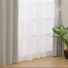 ニトリ カーテン 丈200cm 幅150cm レースカーテンシズク4枚セット ニトリ カーテン 丈200cm 幅150cm レースカーテンシズク4枚セット