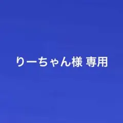 りーちゃん様 専用
