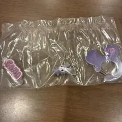 TWICE LOVELYS アクリルカラビナフロッキーマスコット サナ