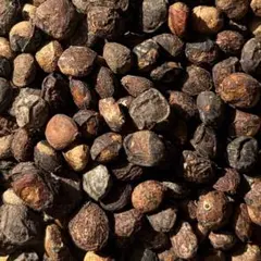 lovecraft様 リクエスト 3点 まとめ商品