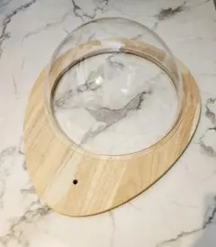 Item thumbnail for item ea6f48d1-4f33-422e-a70c-3fca83041614