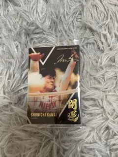 男子バレー ウエハース 2025 川合俊一