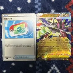 ポケパッド　メガジガルデex RR ムニキスゼロ収録