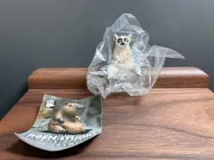 2026年最新】ワオキツネザルの人気アイテム - メルカリ