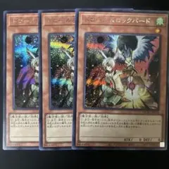 ドロールアンドロックバード