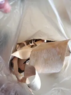 Item thumbnail for item 3f4e17e5-90a7-4ffd-9971-f29330a5e390