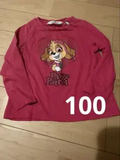 パウパト　スカイ　ロンT H&M