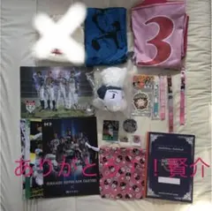 日ハム　ありがとう　さよなら　田中賢介選手 グッズ14点セット