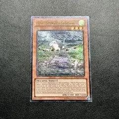 Item thumbnail for item ed2c7ffc-a018-4688-86ac-ed9084337e7b