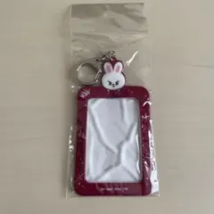 StrayKids SKZOO トレカケース Leebit