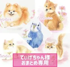 【てぃげちゃん様おまとめ専用です】