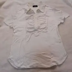 Item thumbnail for item 6b5e0427-b865-4227-8143-c32d9752bc36