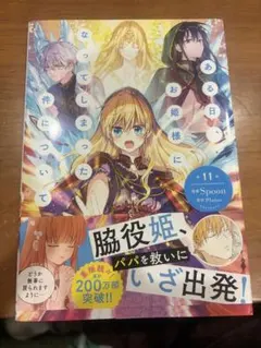 ある日、お姫様になってしまった件について　新品11巻
