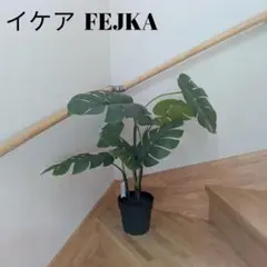 イケアFEJKA フェイカ モンステラ 人工観葉植物のサムネイル