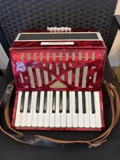 動作品】TOMBO アコーディオン No.253 青 - メルカリ