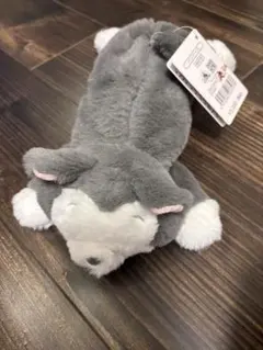 ディズニーストア　春のくじ引き　フィガロペンケース新品未使用