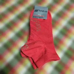 Item thumbnail for item 9799f691-02c9-401b-af4f-4f36e8d6cdb7