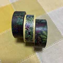 【中古】バラ売り不可　mt DIRECT ハヤシチカゲカモ井