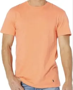 【美品】Polo Ralph Lauren ワンポイント刺繍Tシャツ Mサイズ