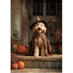 P128 ハロウィンのトイプードル② A4サイズ オリジナルアート 犬 絵画