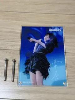 真中まな 東京ドーム写真集付録　アクリルパネル