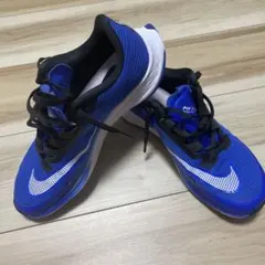 Item thumbnail for item 9c6fb43d-9b8e-41f4-90af-32be8ea5e0ec