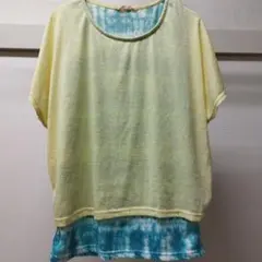 Item thumbnail for item 33f74ff1-6668-4839-8388-904adebe0e49